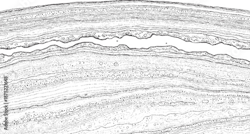 Close up of geological strata layers showing sedimentary rock formations.