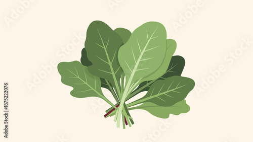 A bunch of fresh green leafy vegetables tied together with their stems