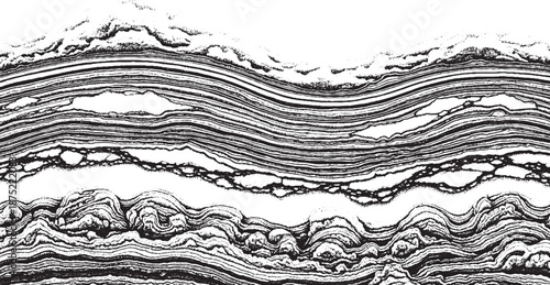 Detailed closeup of a textured layered surface showcasing intricate patterns and organic forms in monochrome.