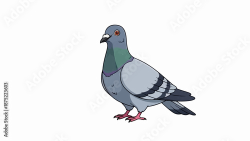 A gray pigeon with iridescent neck feathers stands on pink legs