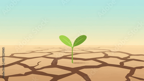 A lone green seedling sprouts from dry, cracked earth under a pale sky