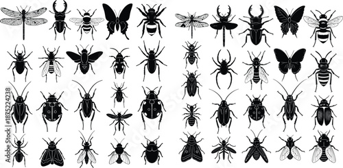 Diverse insect silhouettes collection featuring various bugs and flying creatures for biological projects