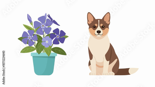 A potted plant with purple flowers sits beside a seated dog with brown and white fur