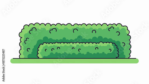 A simplified illustration of a lush green hedge with a smaller hedge in front