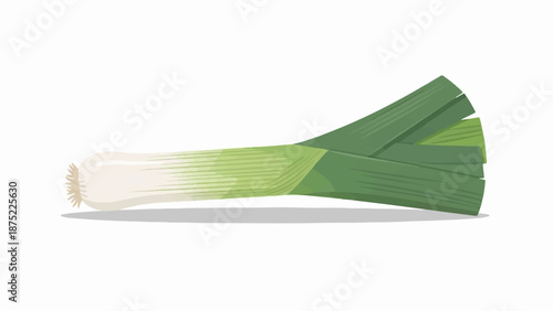 A single green and white leek, isolated on a white background