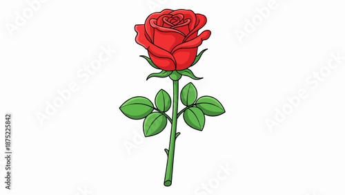 A single red rose with green leaves and stem, set against a white background
