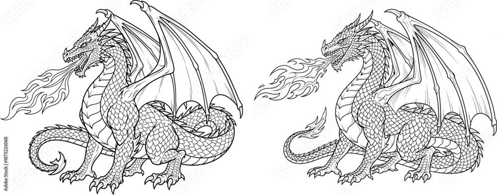Fototapeta premium Outline illustration of two fantasy dragons breathing mighty flames, ready for a coloring activity