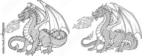 Outline illustration of two fantasy dragons breathing mighty flames, ready for a coloring activity