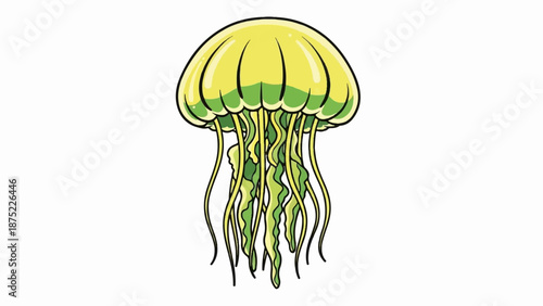 A yellow and green jellyfish with long tentacles floats against a white background