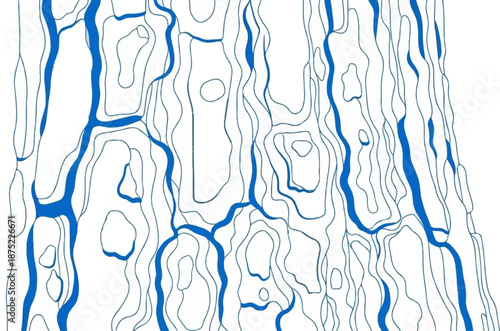 Abstract blue and white lines form a textured pattern resembling tree bark