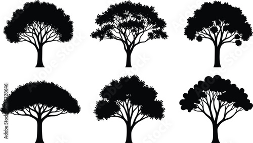 Tree silhouettes collection, different forest tree shapes, black vector nature illustration, botanical woodland elements, isolated on white background