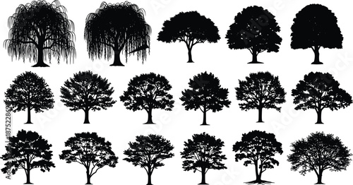 Tree silhouettes collection, various forest tree shapes, black vector botanical designs, natural woodland elements, landscape illustration set, isolated on white