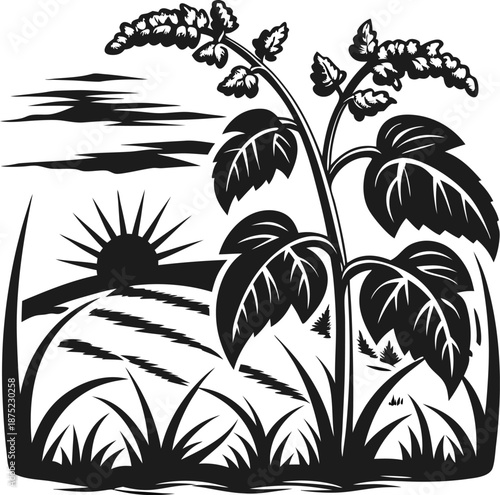 Sunrise over field with blooming plant and grass silhouette in countryside landscape scene