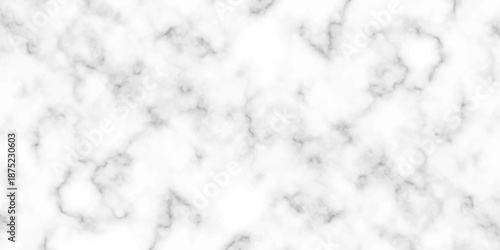 White and black Stone ceramic art wall interiors backdrop design. abstract light elegant black for do floor ceramic counter texture stone slab smooth tile gray silver natural for interior decoration.