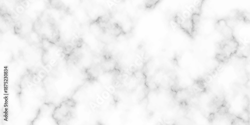 White and black Stone ceramic art wall interiors backdrop design. abstract light elegant black for do floor ceramic counter texture stone slab smooth tile gray silver natural for interior decoration.