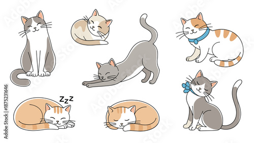 Lovely cats in different sleeping and relaxing poses showing a variety of domestic pet feline behaviors and patterns.