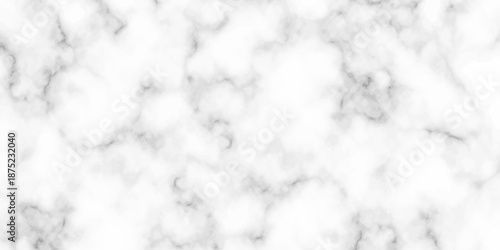 White and black Stone ceramic art wall interiors backdrop design. abstract light elegant black for do floor ceramic counter texture stone slab smooth tile gray silver natural for interior decoration.