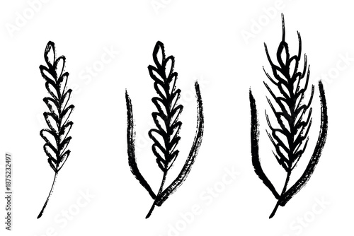 Set of hand drawn cereal wheat oat rye barley rice ears spikelet clipart Organic wheat bread agriculture farming harvest healthy food Single element for design print packaging label decor