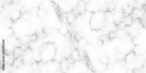 White and black Stone ceramic art wall interiors backdrop design. abstract light elegant black for do floor ceramic counter texture stone slab smooth tile gray silver natural for interior decoration.