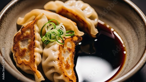 Japanese Gyoza Dumplings Served with Soy Sauce and Green Onions