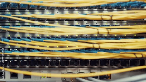 Close-up of organized network cables in a server room with yellow and blue wires.