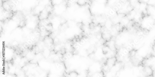 White and black Stone ceramic art wall interiors backdrop design. abstract light elegant black for do floor ceramic counter texture stone slab smooth tile gray silver natural for interior decoration.