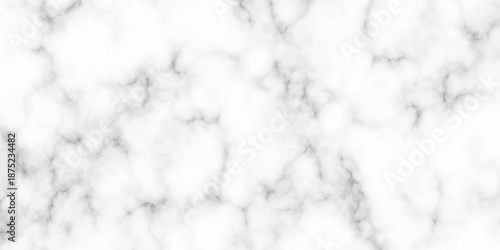 White and black Stone ceramic art wall interiors backdrop design. abstract light elegant black for do floor ceramic counter texture stone slab smooth tile gray silver natural for interior decoration.