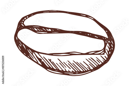 Hand drawn fresh roasted coffee bean Arabica robusta seed doodle Single element for print, web, design, decor