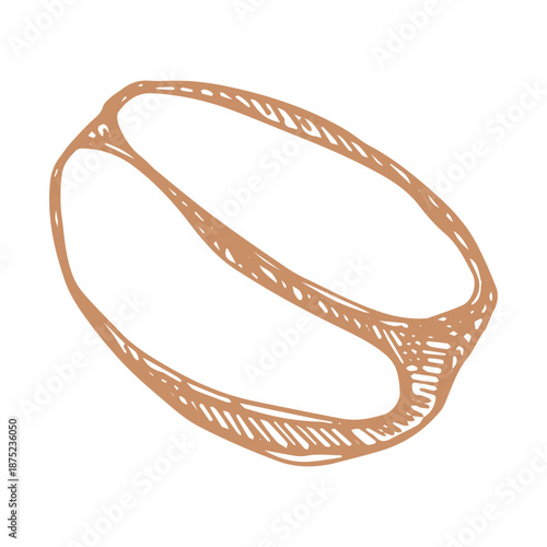 Hand drawn fresh roasted coffee bean Arabica robusta seed doodle Single element for print, web, design, decor