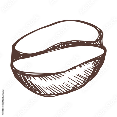 Hand drawn fresh roasted coffee bean Arabica robusta seed doodle Single element for print, web, design, decor