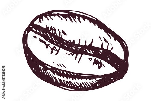 Hand drawn fresh roasted coffee bean Arabica robusta seed doodle Single element for print, web, design, decor