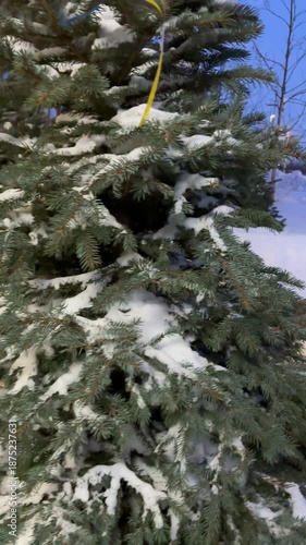 Beautiful snowy weather, christmas trees near outdoor cafe tables in lot of snow. Vertical footage.