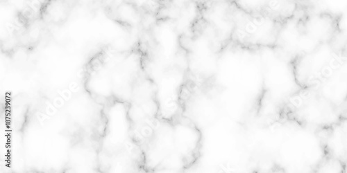 White and black Stone ceramic art wall interiors backdrop design. abstract light elegant black for do floor ceramic counter texture stone slab smooth tile gray silver natural for interior decoration.