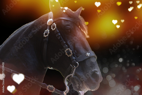 Portrait of a horse with different backgrounds. Year of the Fire Horse (Bing Wu).Chinese New Year 2026.