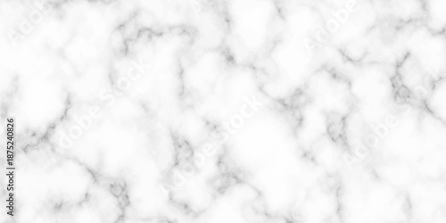 White and black Stone ceramic art wall interiors backdrop design. abstract light elegant black for do floor ceramic counter texture stone slab smooth tile gray silver natural for interior decoration.