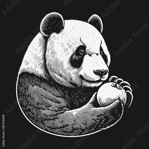 Engraved Panda Portrait Holding Fruit: A Detailed Black and White Illustration.