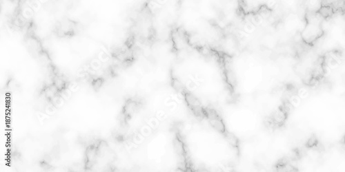 White and black Stone ceramic art wall interiors backdrop design. abstract light elegant black for do floor ceramic counter texture stone slab smooth tile gray silver natural for interior decoration.