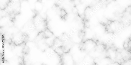 White and black Stone ceramic art wall interiors backdrop design. abstract light elegant black for do floor ceramic counter texture stone slab smooth tile gray silver natural for interior decoration.