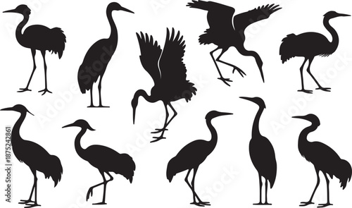 Crane Bird Silhouettes Set Black Vector Collection Heron Wildlife Icons Pack