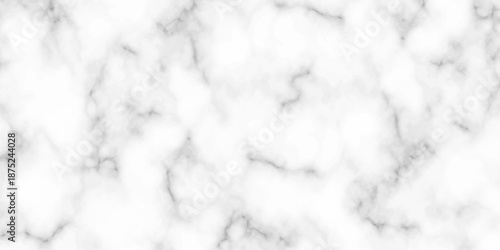 White and black Stone ceramic art wall interiors backdrop design. abstract light elegant black for do floor ceramic counter texture stone slab smooth tile gray silver natural for interior decoration.