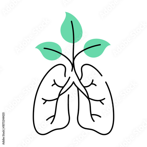 A hand drawn style illustration showing planetary lungs