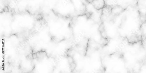 White and black Stone ceramic art wall interiors backdrop design. abstract light elegant black for do floor ceramic counter texture stone slab smooth tile gray silver natural for interior decoration.