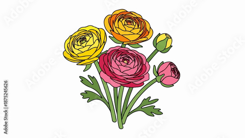 A bouquet of colorful ranunculus flowers and buds