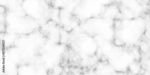 White and black Stone ceramic art wall interiors backdrop design. abstract light elegant black for do floor ceramic counter texture stone slab smooth tile gray silver natural for interior decoration.