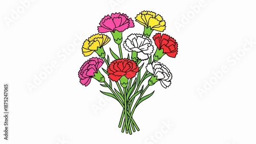A colorful bouquet of carnation flowers with red, pink, yellow, and white blooms