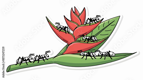 A cluster of black and white ants marching on a bright red and green tropical flower