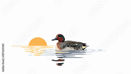 A duck swims in calm waters reflecting a warm orange sun setting on the horizon