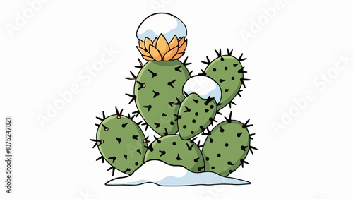 A green cactus with snow caps and an orange flower