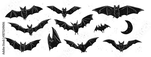set of black silhouettes of bats vector illustration 