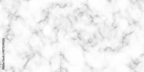 White and black Stone ceramic art wall interiors backdrop design. abstract light elegant black for do floor ceramic counter texture stone slab smooth tile gray silver natural for interior decoration.